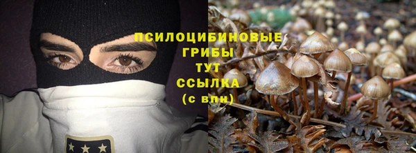 твердый Вязьма
